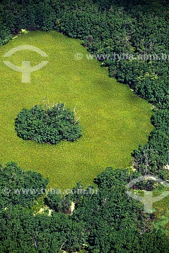  Subject: Aerial view of Biological Reserve Lago Pirantuba (Pirantuba Lake) / Place: Amapa state (AP) - Brazil / Date: 04/2012 