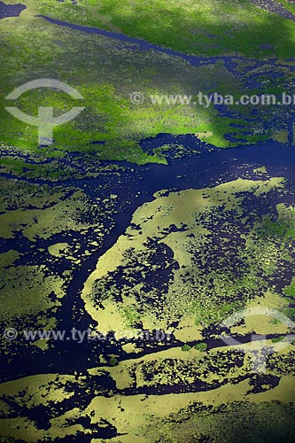  Subject: Aerial view of Biological Reserve Lago Pirantuba (Pirantuba Lake) / Place: Amapa state (AP) - Brazil / Date: 04/2012 