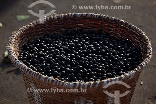  Subject: Basket with acai fruit in the Market of Santa Ines Ramp (Acai Ramp) / Place: Macapa city - Amapa state (AP) - Brazil / Date: 04/2012 