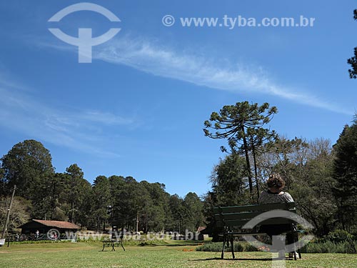  Subject: Campos do Jordao State Park also known as Horto Florestal / Place: Campos do Jordao city - Sao Paulo state (SP) - Brazil / Date: 09/2012 