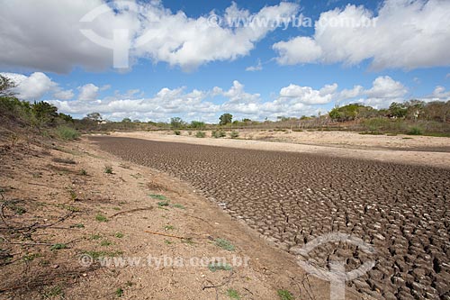  Subject: Cabeca da Vaca river the period of drought / Place: Teofilandia city - Bahia state (BA) - Brazil / Date: 06/2012 