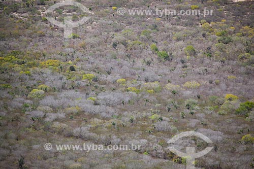  Subject: Aerial view of backwoods of Bahia / Place: Monte Santo city - Bahia state (BA) - Brazil / Date: 06/2012 
