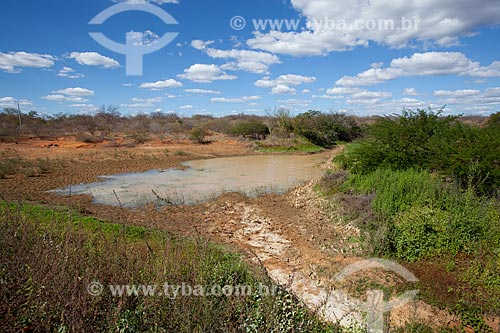  Subject: Weir dry  in the backwoods of Pernambuco / Place: Petrolina city - Pernambuco state (PE) - Brazil / Date: 06/2012 