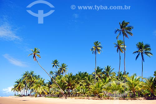  Subject: Taipus de Fora Beach - Marau Peninsula / Place: Marau city - Bahia state (BA) - Brazil / Date: 10/2011 