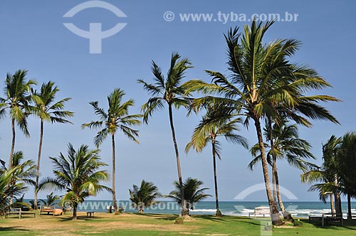  Subject: Taipus de Fora Beach - Marau Peninsula / Place: Marau city - Bahia state (BA) - Brazil / Date: 10/2011 