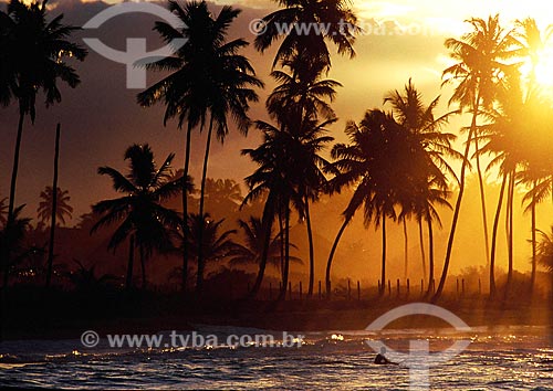  Subject: Beach and coconut trees in Barra Grande - Marau Peninsula / Place: Marau city - Bahia state (BA) - Brazil / Date: 11/2011 