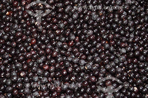  Subject: Acai Fruit / Place: Para state (PA) - Brazil / Date: 02/2006 