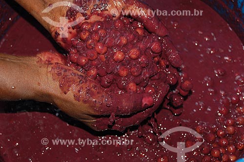  Subject: Person separating the seed and pulp of acai  / Place: Para state (PA) - Brazil / Date: 02/2006 