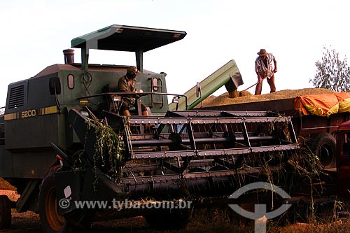  Subject: Mechanized harvest of soybeans / Place: Dom Pedro de Alcantara city - Rio Grande do Sul state (RS) - Brazil / Date: 04/2004 