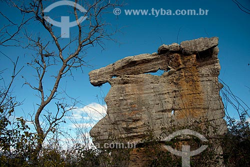  Subject: Sandstone rock in Catimbau National Park / Place: Buique city - Pernambuco state (PE) - Brazil / Date: 08/2012 