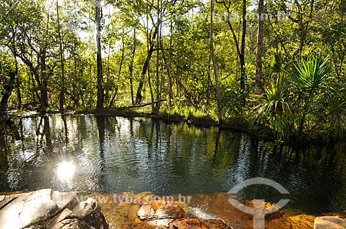  Subject: Natural pool formed by the Nossa Senhora do Rosario waterfall / Place: Pirenopolis city - Goias state (GO) - Brazil / Date: 05/2012 
