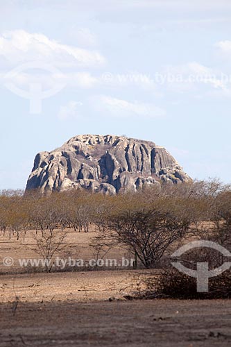  Subject: Landscape of Caatinga with monolith in the background / Place: Quixada city - Ceara state (CE) - Brazil / Date: 11/2012 