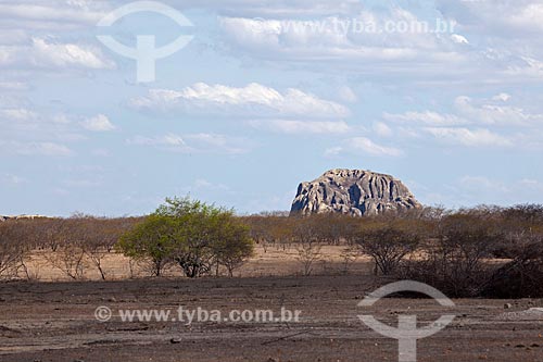  Subject: Landscape of Caatinga with monolith in the background / Place: Quixada city - Ceara state (CE) - Brazil / Date: 11/2012 