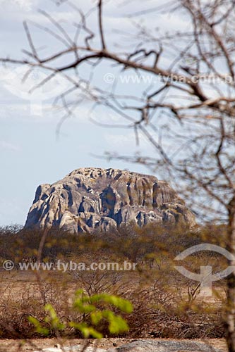  Subject: Landscape of Caatinga with monolith in the background / Place: Quixada city - Ceara state (CE) - Brazil / Date: 11/2012 