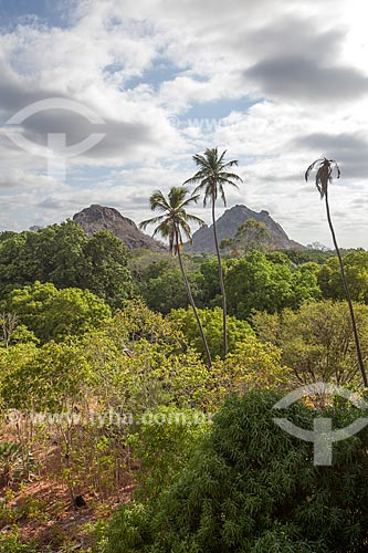  Subject: View of trees beside the  Cedro dam with monoliths the background / Place: Quixada city - Ceara state (CE) - Brazil / Date: 11/2012 