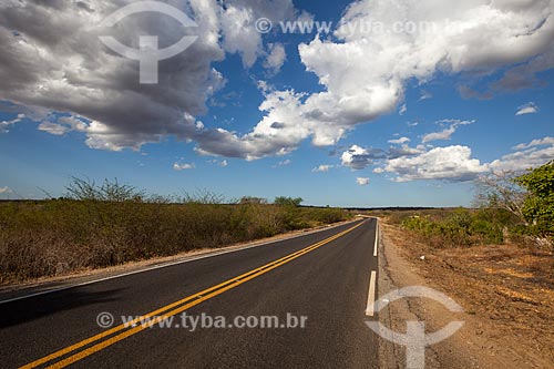  Subject: Highway CE-060 stretch between Daniel de Queiroz district and Quixada / Place: Daniel de Queiroz district - Quixada citty - Ceara state (CE) - Brazil / Date: 11/2012 