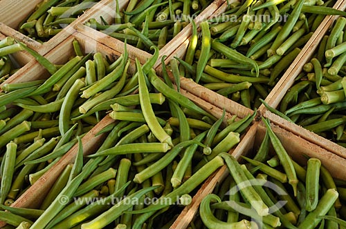  Subject: Crates with okras / Place: Buritama city - Sao Paulo state (SP) - Brazil / Date: 10/2012 