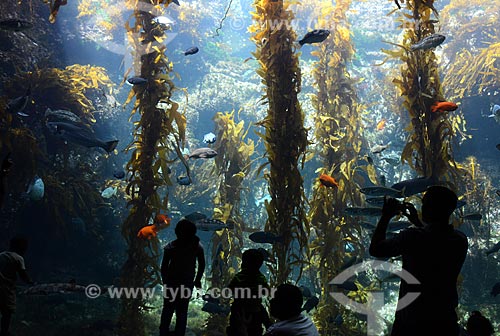  Subject: People observing aquarium at Sea World / Place: San Diego city - California state - United States of America - USA / Date: 09/2012 