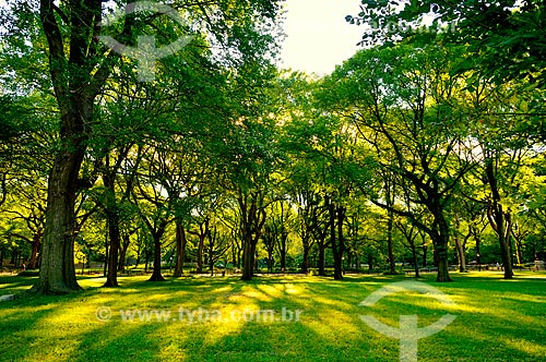  Subject: Trees in Central Park (1857) / Place: Manhattan - New York - United States of America - North America / Date: 09/2010 