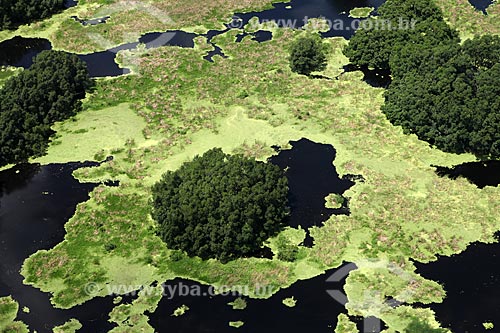  Subject: Aerial view of Biological Reserve Lago Pirantuba (Pirantuba Lake) / Place: Amapa state (AP) - Brazil / Date: 05/2012 