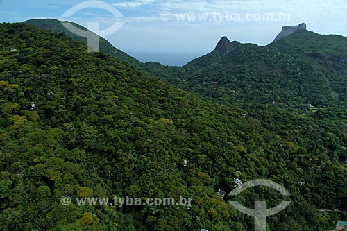  Subject: View of Tijuca Forest in Tijuca National Park / Place: Rio de Janeiro city - Rio de Janeiro state  (RJ) - Brazil / Date: 12/2012 