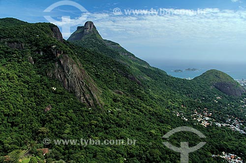  Subject: View of Tijuca Forest in Tijuca National Park / Place: Rio de Janeiro city - Rio de Janeiro state  (RJ) - Brazil / Date: 12/2012 