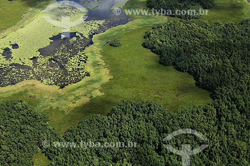  Subject: Aerial view of Biological Reserve Lago Piratuba (Piratuba Lake)  / Place: Amapa state (AP) - Brazil / Date: 05/2012 