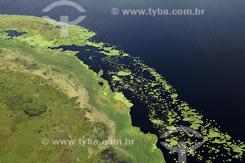  Subject: Aerial view of Biological Reserve Lago Piratuba (Piratuba Lake)  / Place: Amapa state (AP) - Brazil / Date: 05/2012 