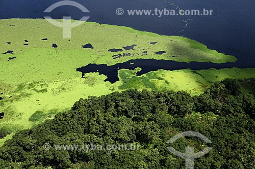  Subject: Aerial view of Biological Reserve Lago Piratuba (Piratuba Lake)  / Place: Amapa state (AP) - Brazil / Date: 05/2012 