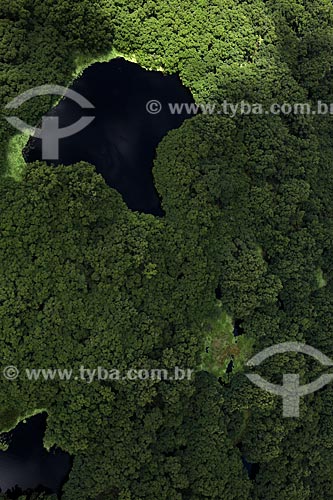  Subject: Aerial view of Biological Reserve Lago Piratuba (Piratuba Lake)  / Place: Amapa state (AP) - Brazil / Date: 05/2012 