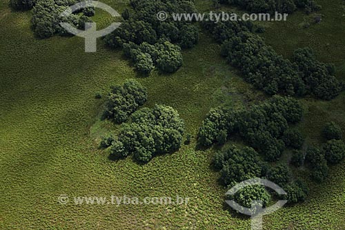  Subject: Aerial view of Biological Reserve Lago Piratuba (Piratuba Lake)  / Place: Amapa state (AP) - Brazil / Date: 05/2012 