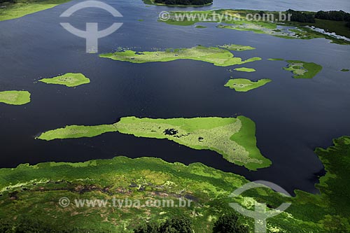  Subject: Aerial view of Biological Reserve Lago Piratuba (Piratuba Lake)  / Place: Amapa state (AP) - Brazil / Date: 05/2012 