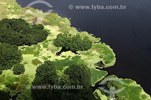  Subject: Aerial view of Biological Reserve Lago Piratuba (Piratuba Lake)  / Place: Amapa state (AP) - Brazil / Date: 05/2012 