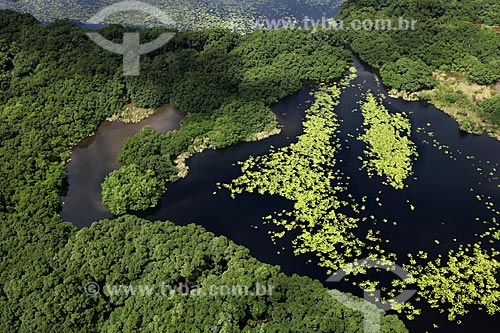  Subject: Aerial view of Biological Reserve Lago Piratuba (Piratuba Lake)  / Place: Amapa state (AP) - Brazil / Date: 05/2012 