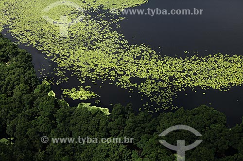  Subject: Aerial view of Biological Reserve Lago Piratuba (Piratuba Lake)  / Place: Amapa state (AP) - Brazil / Date: 05/2012 