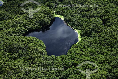  Subject: Aerial view of Biological Reserve Lago Piratuba (Piratuba Lake)  / Place: Amapa state (AP) - Brazil / Date: 05/2012 