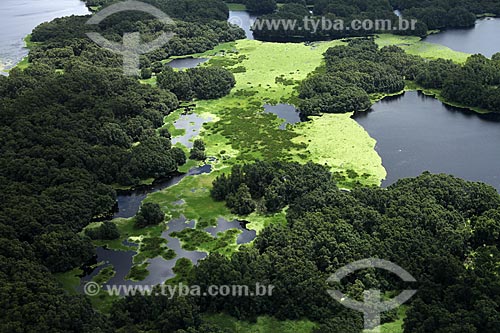  Subject: Aerial view of Biological Reserve Lago Piratuba (Piratuba Lake)  / Place: Amapa state (AP) - Brazil / Date: 05/2012 