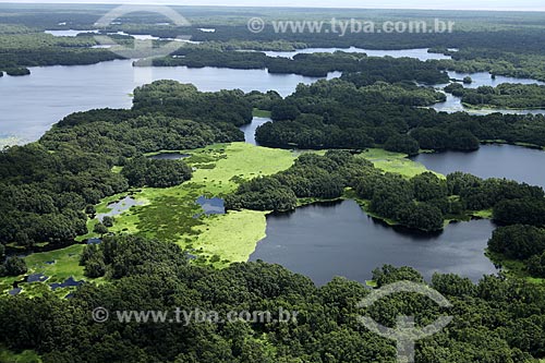  Subject: Aerial view of Biological Reserve Lago Piratuba (Piratuba Lake)  / Place: Amapa state (AP) - Brazil / Date: 05/2012 