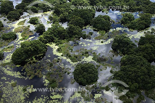  Subject: Aerial view of Biological Reserve Lago Piratuba (Piratuba Lake)  / Place: Amapa state (AP) - Brazil / Date: 05/2012 