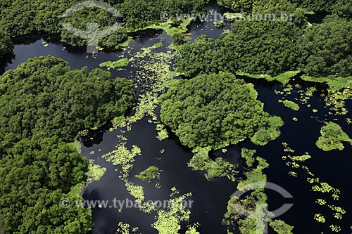  Subject: Aerial view of Biological Reserve Lago Piratuba (Piratuba Lake)  / Place: Amapa state (AP) - Brazil / Date: 05/2012 