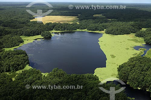  Subject: Aerial view of Biological Reserve Lago Piratuba (Piratuba Lake)  / Place: Amapa state (AP) - Brazil / Date: 05/2012 