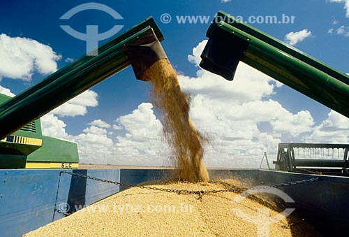  Subject: Unloading of soybeans / Place: Baus district - Costa Rica city - Mato Grosso do Sul state ( MS ) - Brazil / Date: 06/2011 