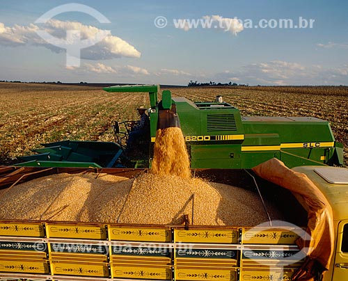  Subject: Unloading corn / Place: Palotina city - Parana state (PR) - Brazil / Date: 06/2011 