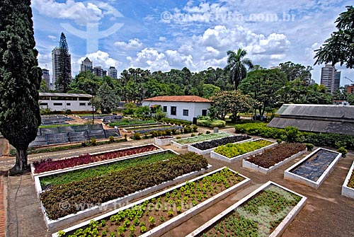  Subject: Forest nursery Manequinho Lopes in Ibirapuera Park / Place: Sao Paulo city - Sao Paulo state (SP) -  Brazil / Date: 12/2007 