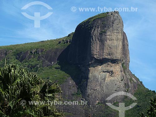  Subject: Excerpt from the top of the Rock of Gavea / Place: Barra da Tijuca neighborhood - Rio de Janeiro city - Rio de Janeiro state (RJ) - Brazil / Date: 04/2012 