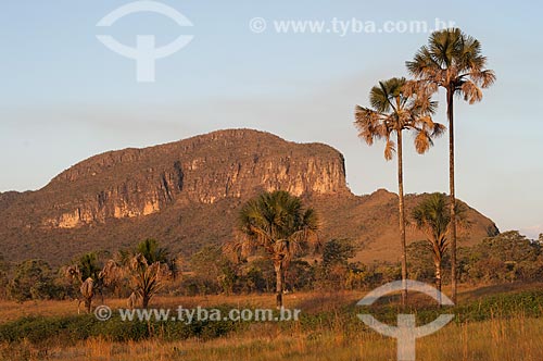  Subject: Typical landscape of the cerrado (savannah) / Place: Goias state (GO) - Brazil / Date: 07/2007 