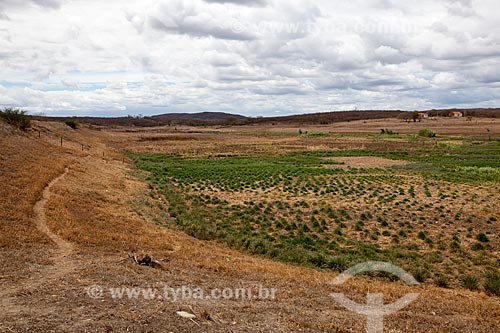  Subject: Acude Velho (Old Dam) in the dry season / Place: Sao Jose do Egito city - Pernambuco state (PE) - Brazil / Date: 01/2013 