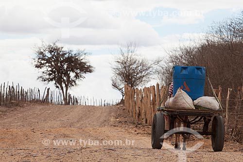  Subject: Water being transported on a cart / Place: Sao Jose do Egito city - Pernambuco state (PE) - Brazil / Date: 01/2013 