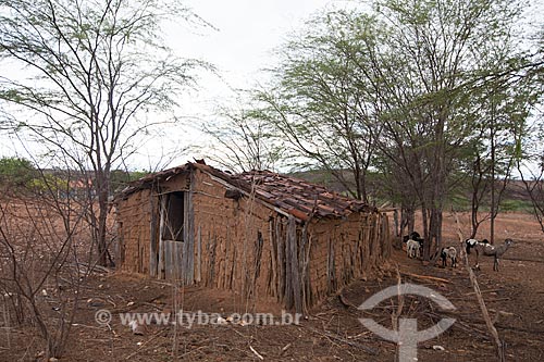  Subject: Clay house on Backwood of Pajeu / Place: Sao Jose do Egito city - Pernambuco state (PE) - Brazil / Date: 01/2013 