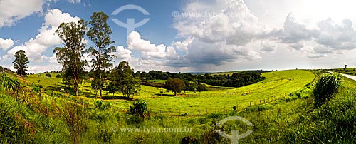  Subject: Pasture in summer season - between the cities of Sacramento and Araxa / Place: Minas Gerais state (MG) - Brazil / Date: 12/2012 